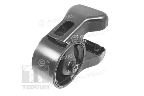 Tedgum TED52771
