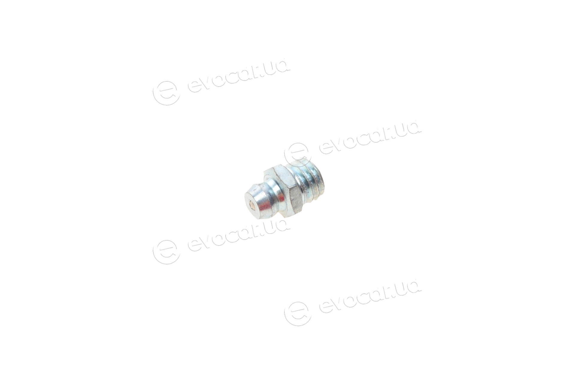Solgy 216141