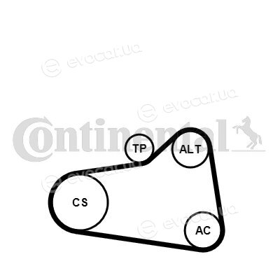 Continental 6PK905 EXTRA K1