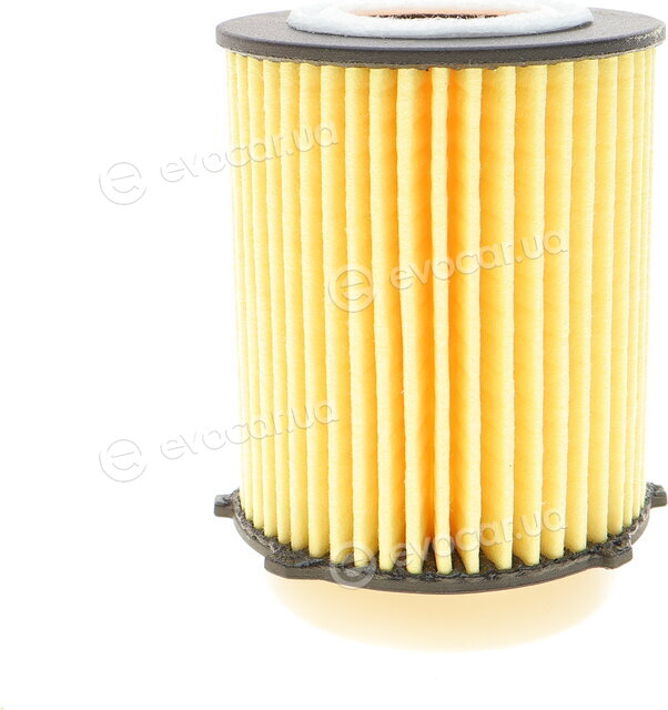 Mahle OX 982D