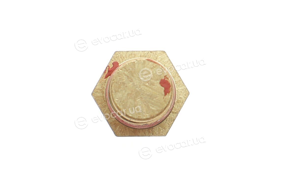 Delphi TS10469