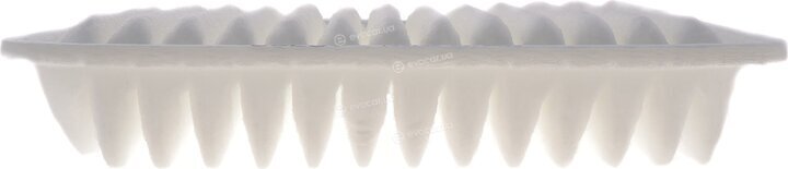 Solgy 103156