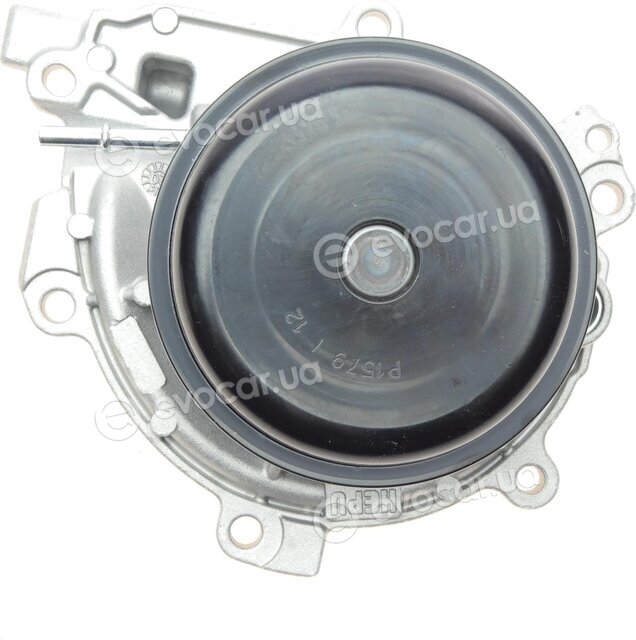 Hepu P1579