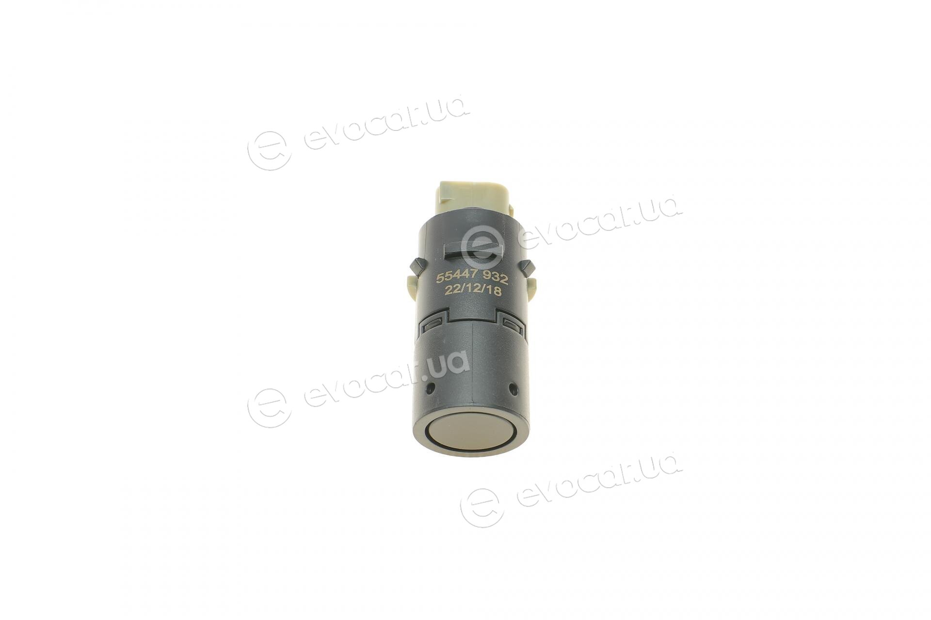 AIC 55447