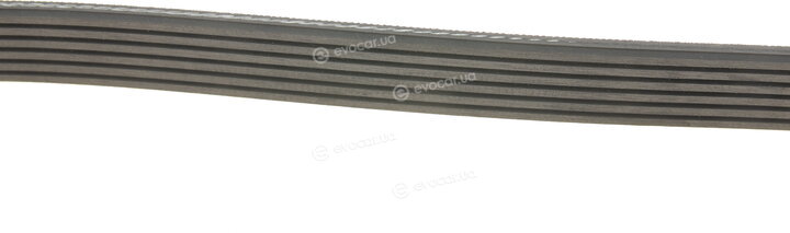 Gates K066PK1195