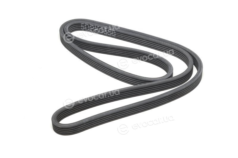 Dayco 5DPK1550