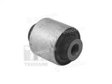 Tedgum 21100