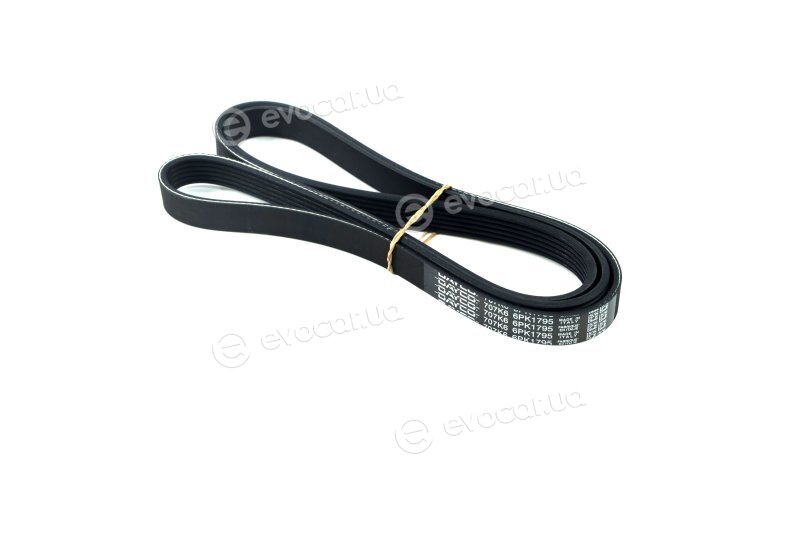 Dayco 6PK1795