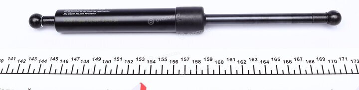 Lesjofors 8104203