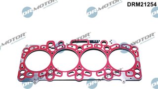 Dr. Motor DRM21254