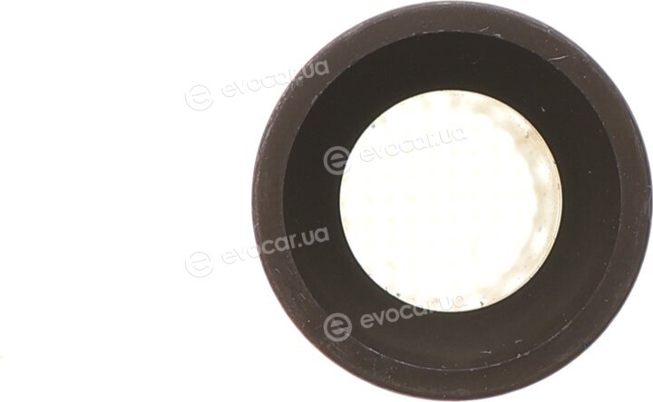 Mahle 081 PI 00124 000