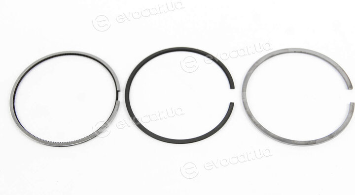 Mahle 010 04 N1