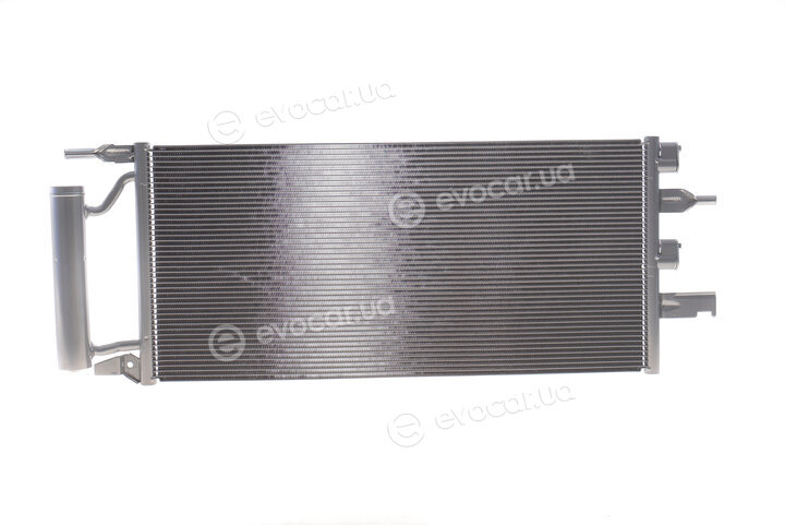 Van Wezel 06005607