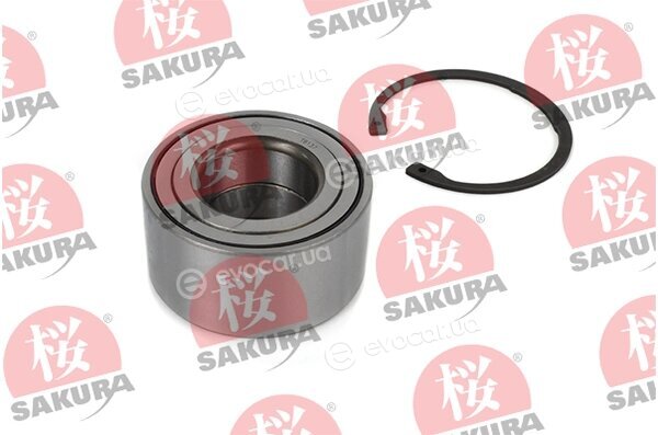 Sakura 4104345
