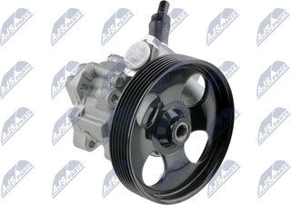 NTY SPW-CT-004