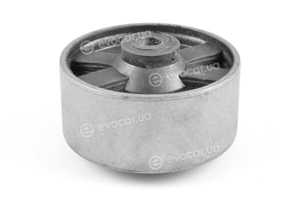 Tedgum 00120236