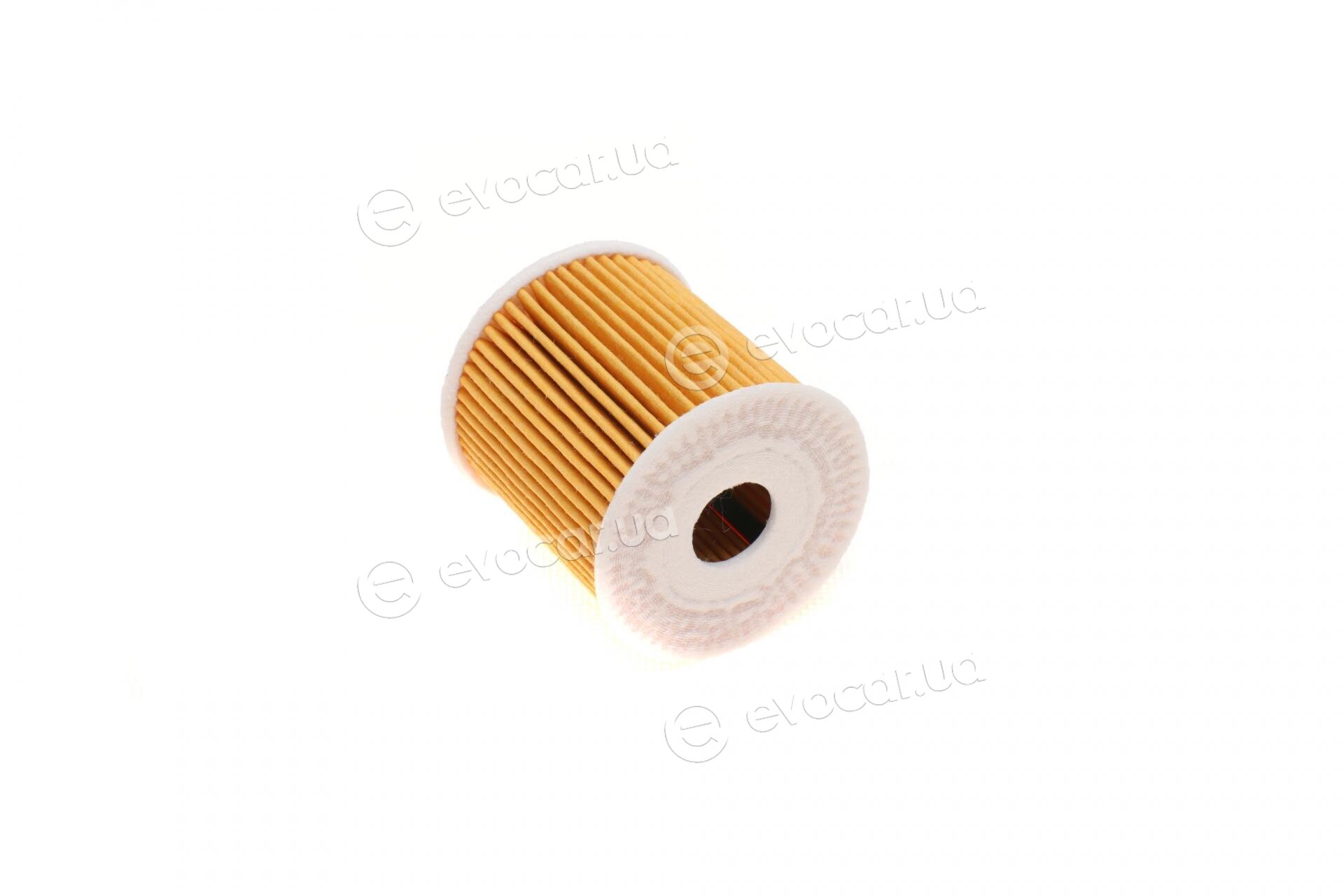 Blue Print ADC42123