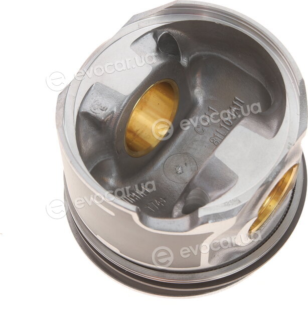 Mahle 030 97 00