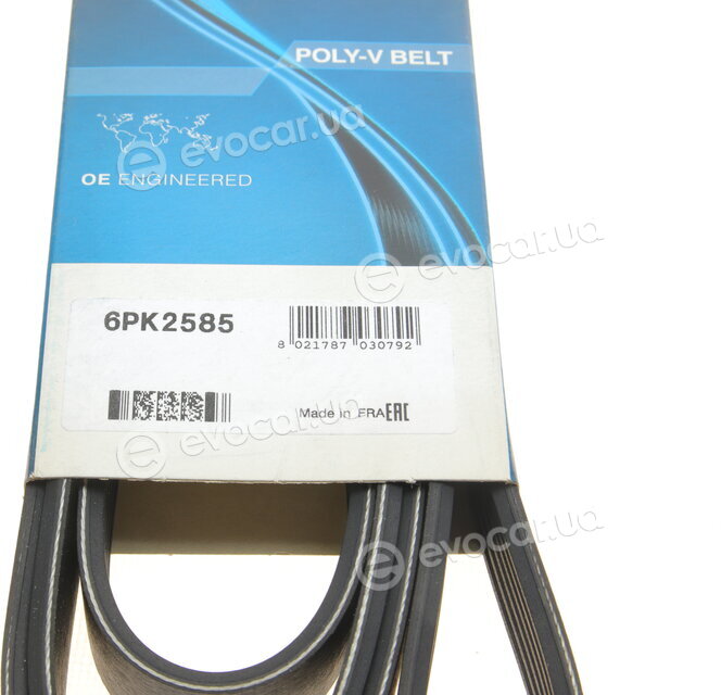 Dayco 6PK2585