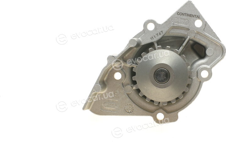 Continental CT986WP2