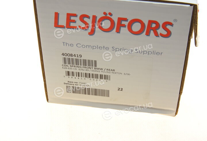 Lesjofors 4008419