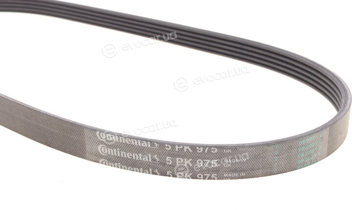 Continental 5PK975
