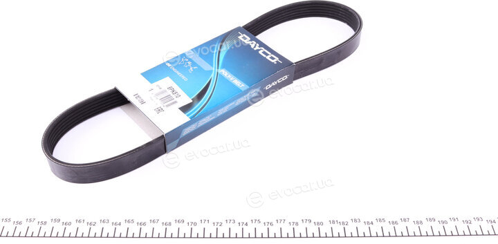 Dayco 6PK810