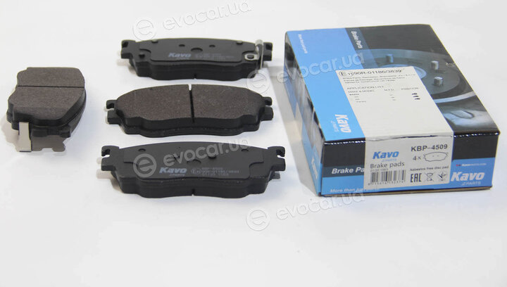 Kavo KBP-4509