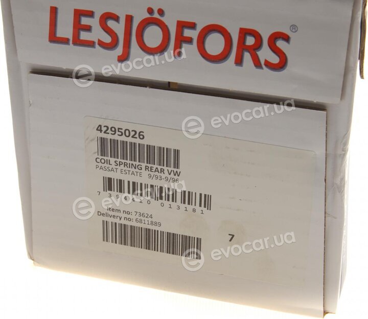 Lesjofors 4295026