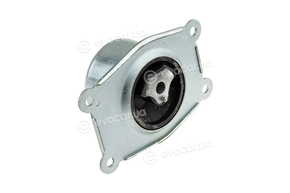 NTY ZPS-PL-031
