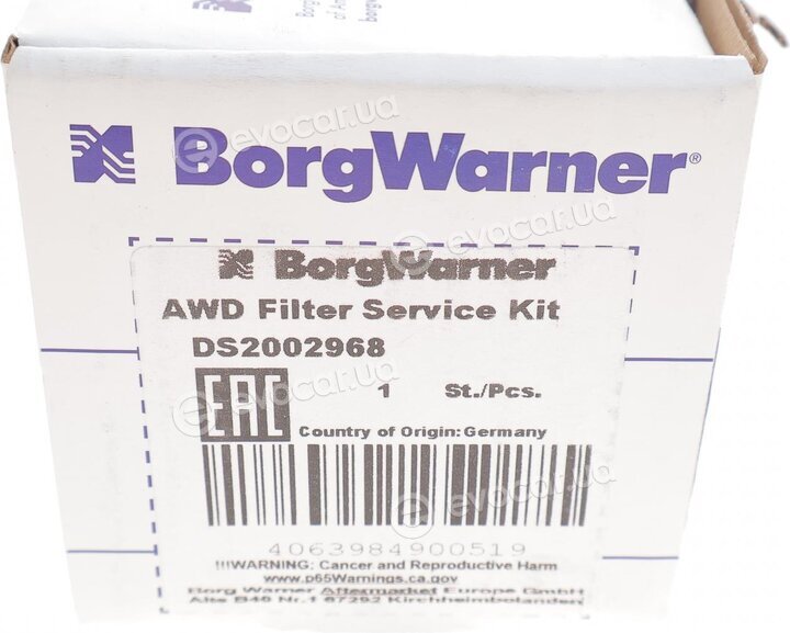 BorgWarner DS2002968