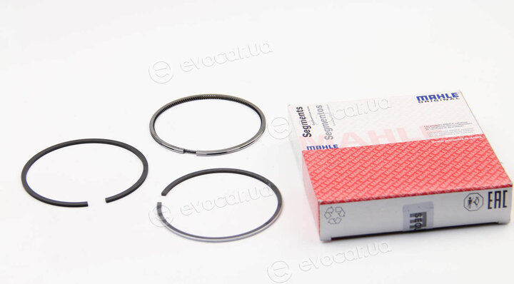Mahle 039 24 N1