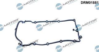 Dr. Motor DRM01881