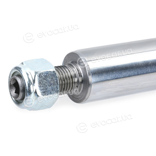 Ridex 854S0984