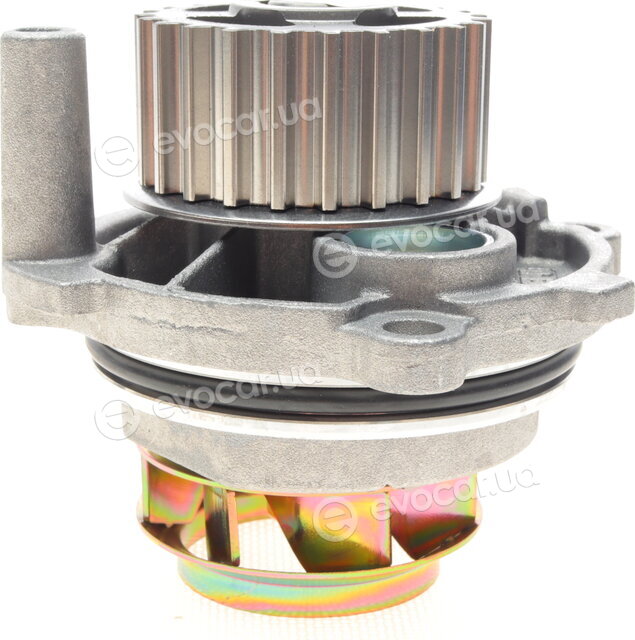 Hepu P572