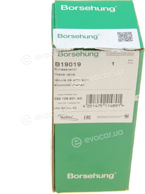 Borsehung B19019