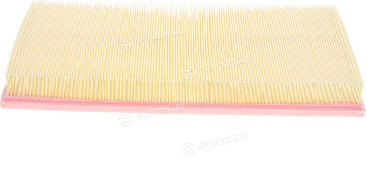 Solgy 103035