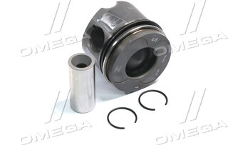 Mahle 001 PI 00107 002