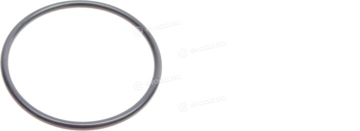 Elring 868.260