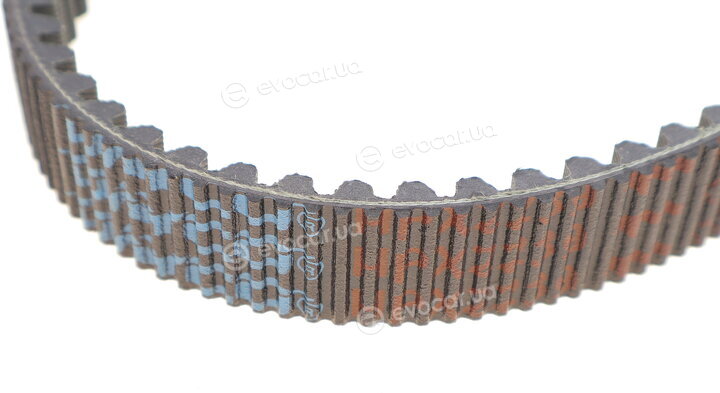 Dayco HPX2239
