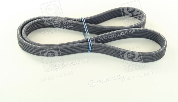 Continental 6DPK1215