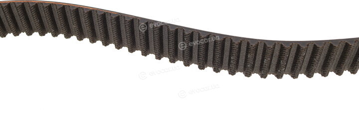 Gates K075491XS