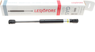 Lesjofors 8042101