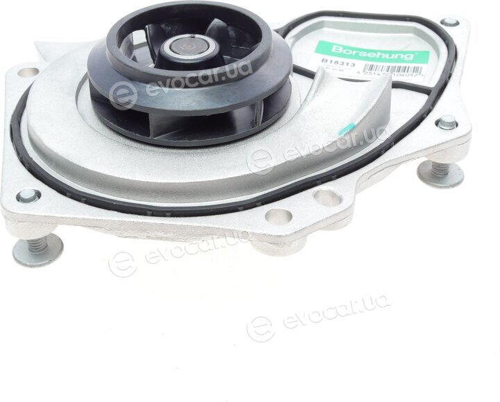 Borsehung B15313