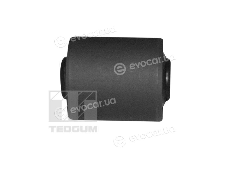 Tedgum 01169797