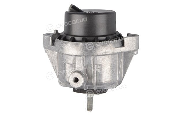 Tedgum TED60795