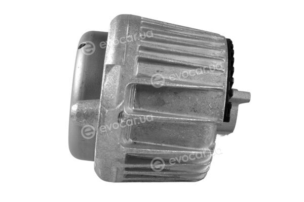 Tedgum TED53841