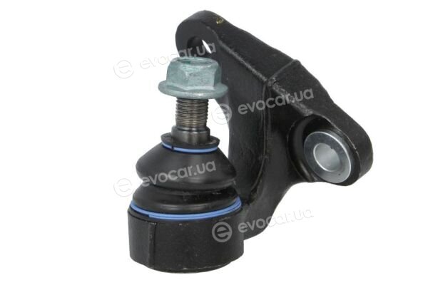 Reinhoch RH03-3029