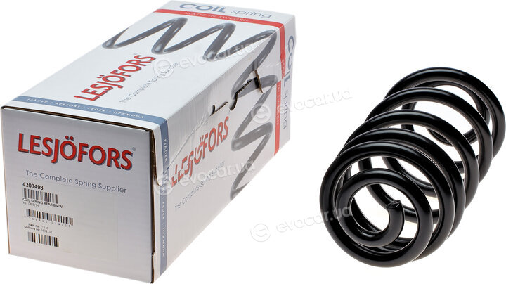 Lesjofors 4208498