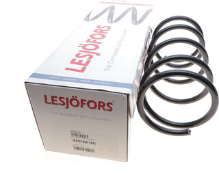 Lesjofors 4037219